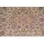 Tapis traditionnel 8 x 11
