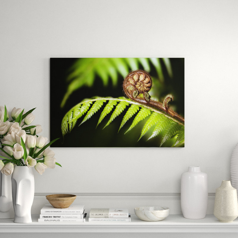 Fern Branch! Print, Aluminum, 16" H x 20" W x 1" D