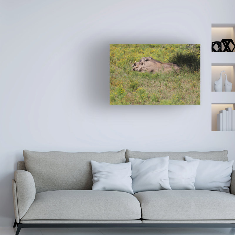 Art sur toile, Bob Bob Langrish, H 12 po x l 19 po