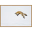 «Red Fox in Snow» par Deborah Winchester Danita Delimont - reproduction de photo à cadre flottant sur toile