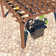 Solid Wood Pergola