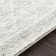 Narine Machine Woven Grey/White Indoor Rug