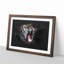 A Yawning Tiger - Single Picture Frame Print on MDF-56867284-56867282
