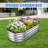 12" Tall 4x2 ft (2 Pcs) Module Metal Raised Garden Bed-1566090029