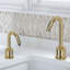 Distributeur de savon et distributeur de savon Fontana ™ Verona