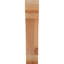 Attelle de genou olympique-31229512-31230592-29309935