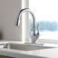 Robinet d'évier de cuisine avec douchette extractible Leland-14505710