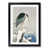 Black Bordered Framed Paper