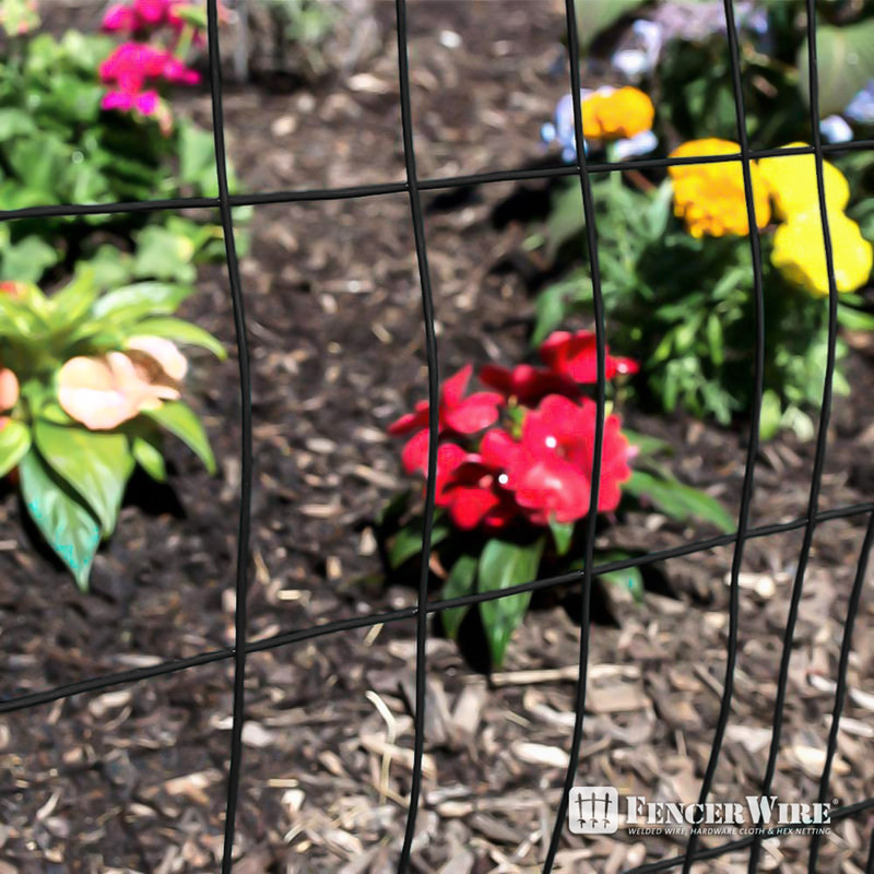 2 ft. x 50 ft. Black Vinyl Coated Welded Wire Fence