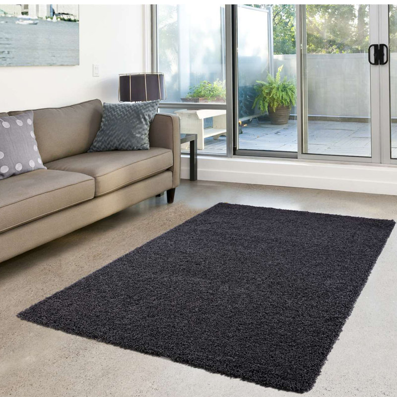 Tapis gris anthracite Prouty, Rectangle 5 pi 3 po x 7 pi 7 po