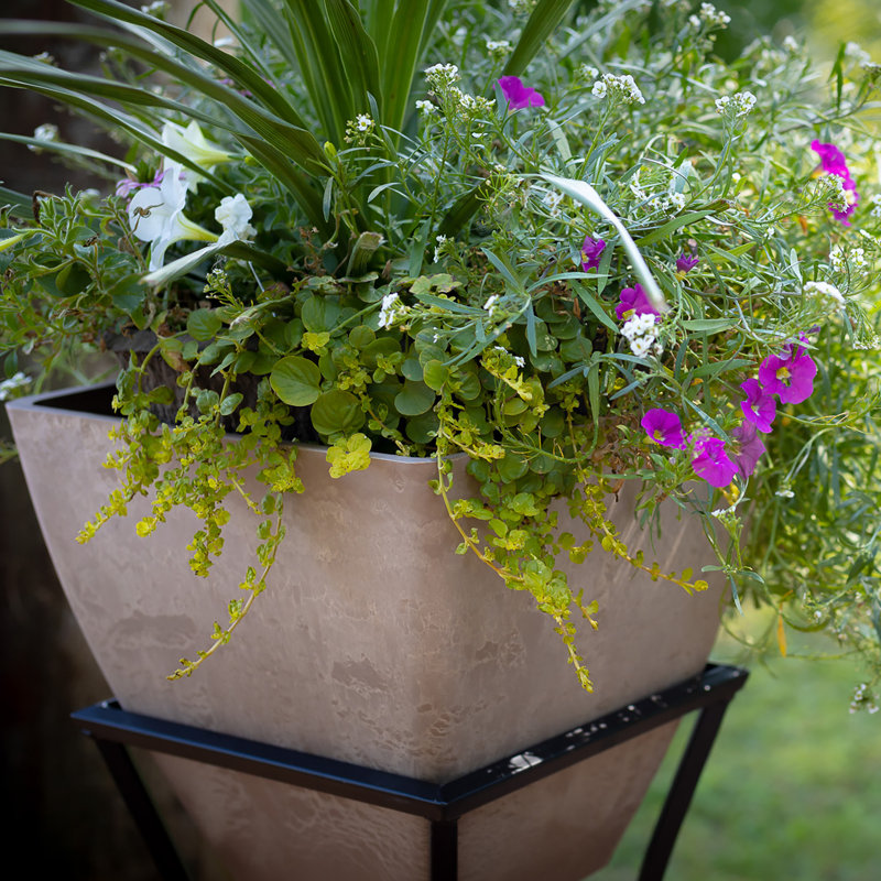Pot à fleurs 2 pièces Lacefield, H 27,8 po x l 12 po x P 12 po, Chêne