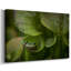 Toile tendue Arboreal Refuge-Gallery-832907217