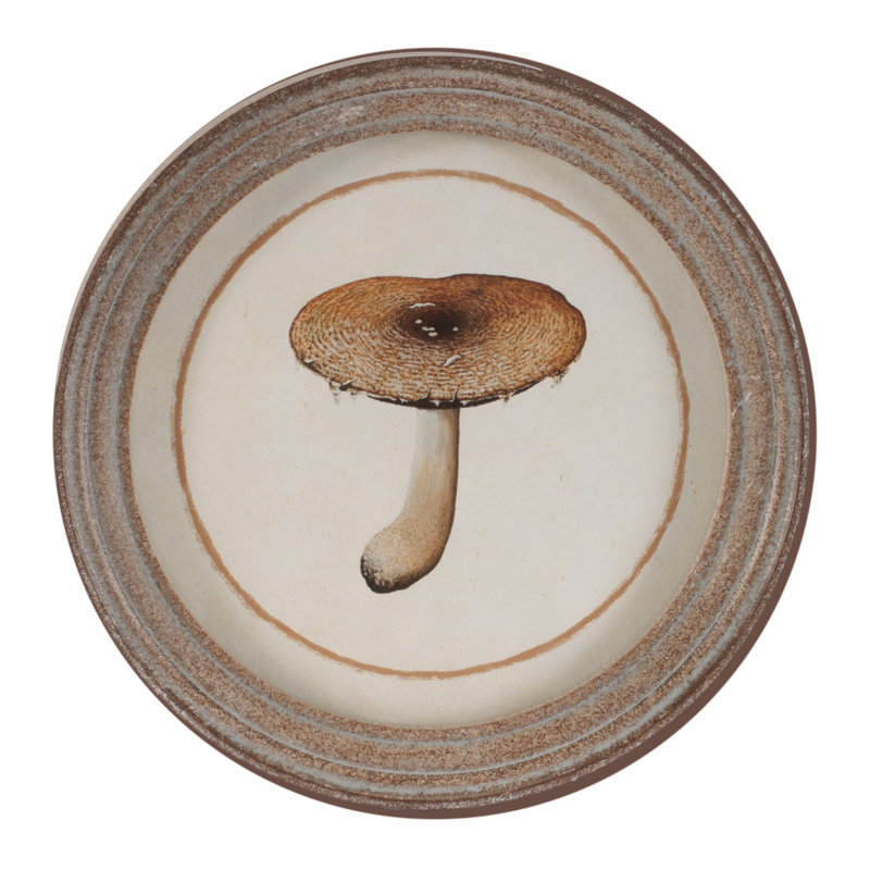 Reproduction encadrée de champignon