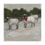«Sheep in Snow», impression sur toile tendue-27484305