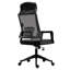 Lengrey Office Chair with Headrest