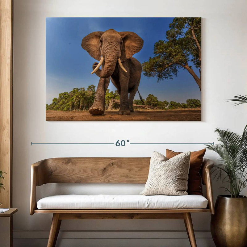 Brampt Playful African Elephant, 34" H x 51" W
