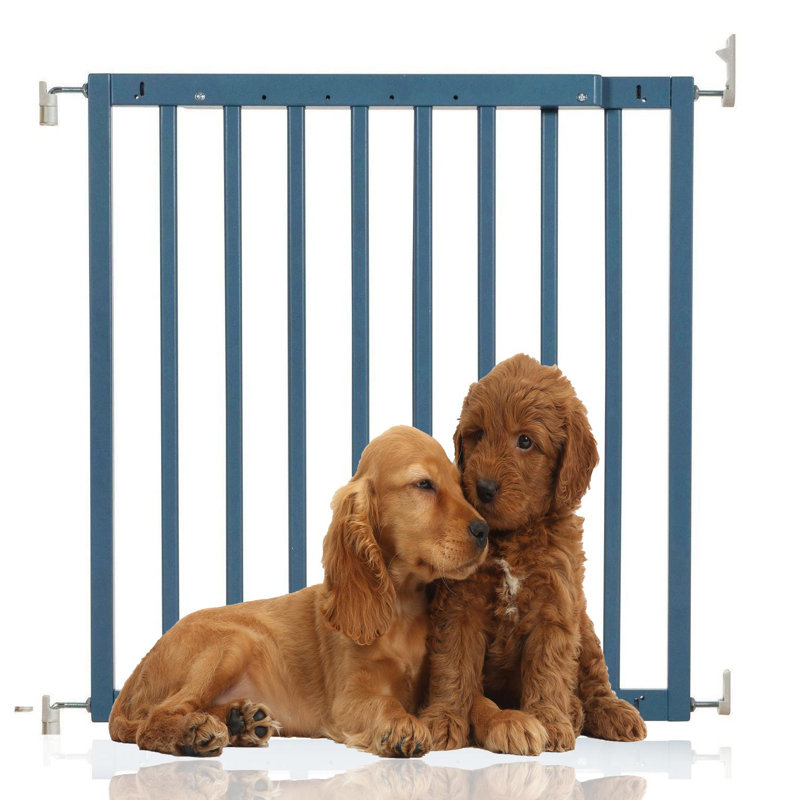 Odebolt Wood Pet Gate Accessory, Azure Blue Wood