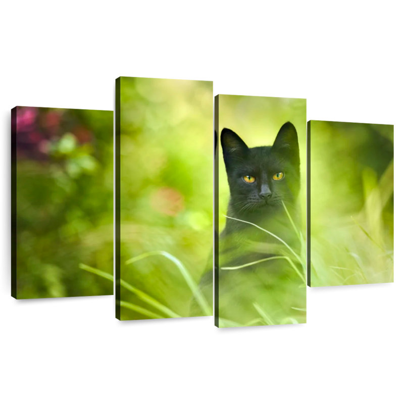 Brampt Serious Black Cat, 22" H x 36" W