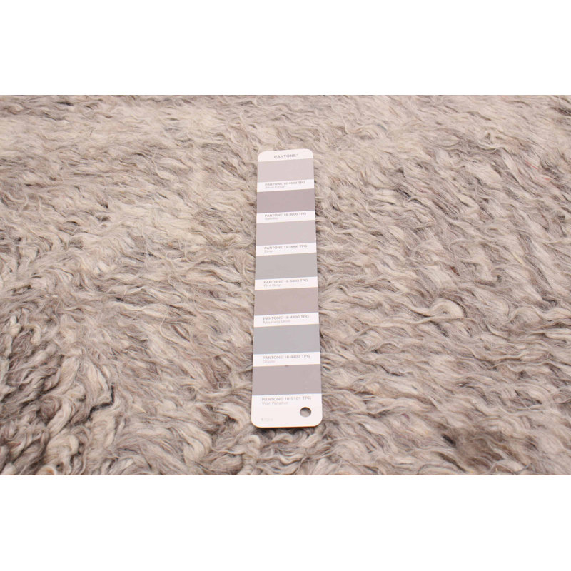 Tapis unique en laine gris nouvel âge 8 pi 0 po x 10 pi 1 po Grogan