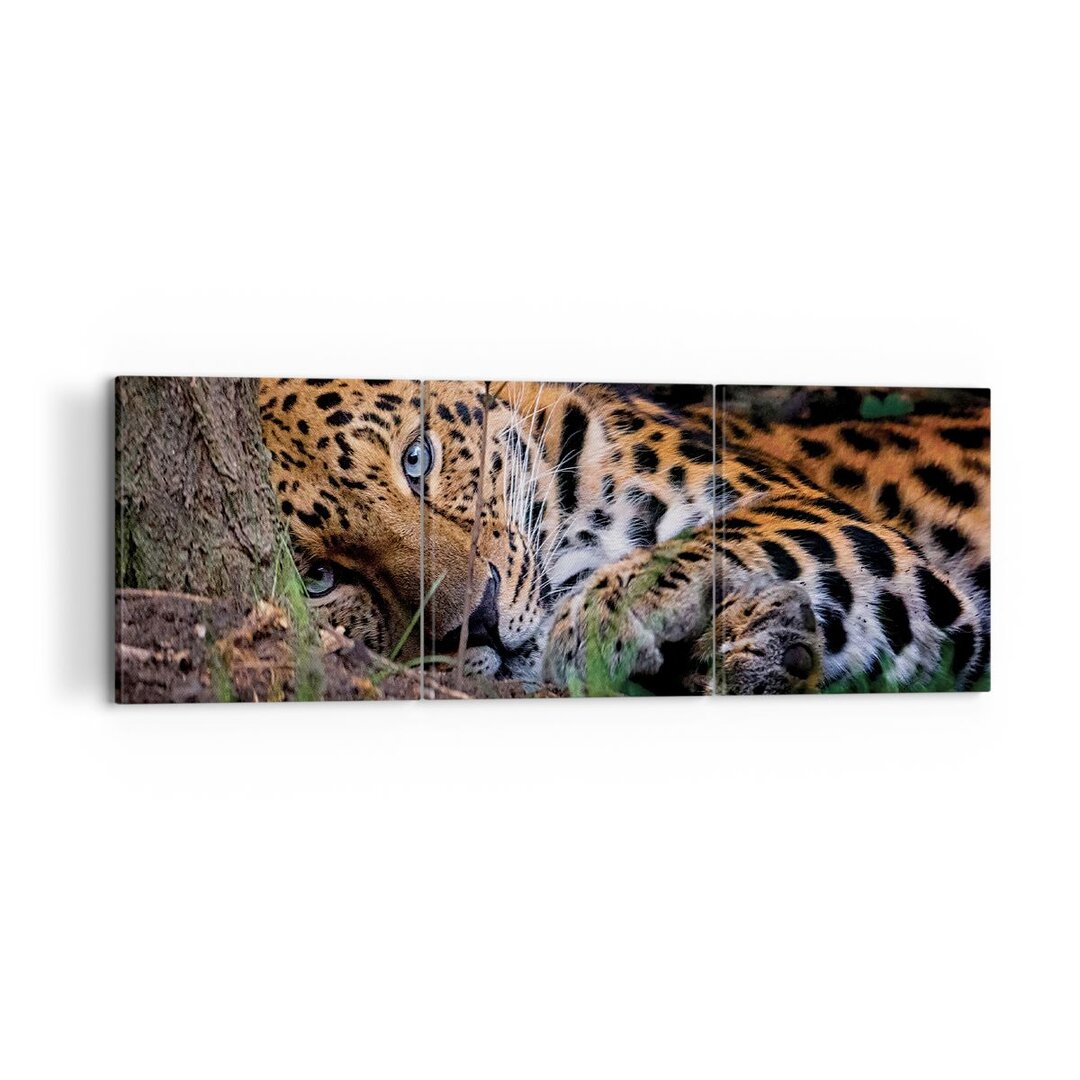 3-tlg. Leinwandbilder-Set Leopard Portrait Jaguar