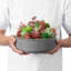 Pot Planter