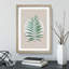 Botanical Fern - Picture Frame Graphic Art-62806405-62806403