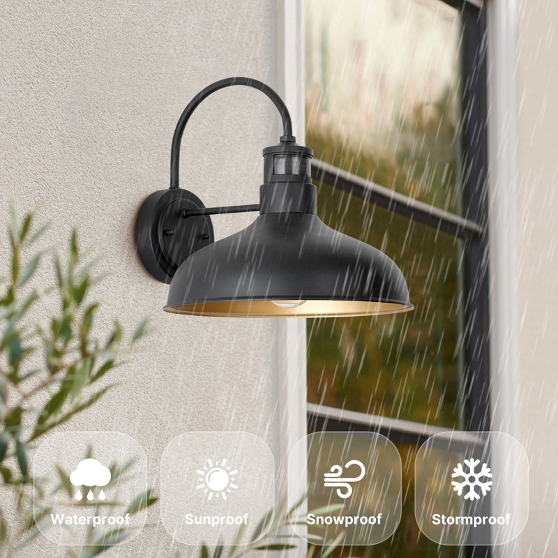 Adachi Wall Light, 12.6" H x 12" W x 13.8" D