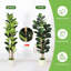 Figuier 5/6 / 7pi à figuier avec plante blanche, plantes artificielles réalistes pour le bureau personnel-1185703357