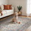Machine Woven Indoor Rug-466029718-432600878