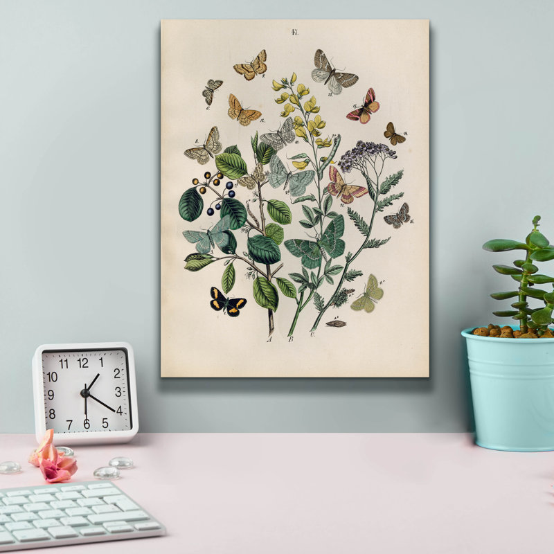 «Papillion - Butterflies» par Art Licensing Studio, art mural sur toile