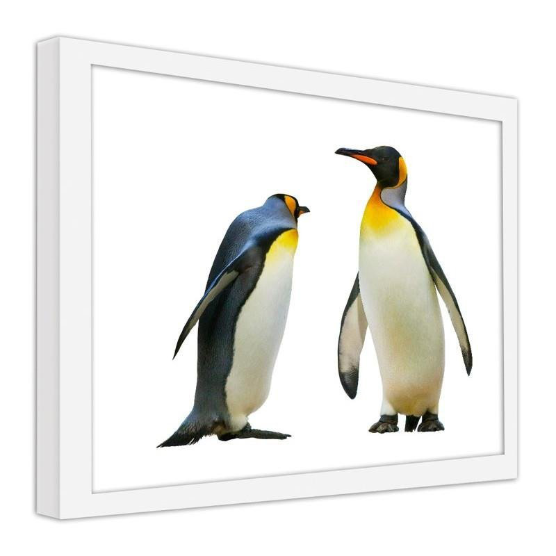 Gerahmter Fotodruck Penguins