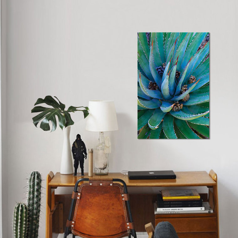 «Agave Plants with Pine Cones, North America» par Tim Fitzharris - Toile tendue, H 12 po x l 8 po x P 0,75 po