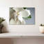 Magnolia blanc Harnek-107472029