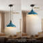 Pascale 1 - Light Dome Pendant-1826978785