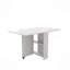 Entièrement dépliée, cette table pliable de 51,18 po convient à une petite table familiale ou à une table de présentation.