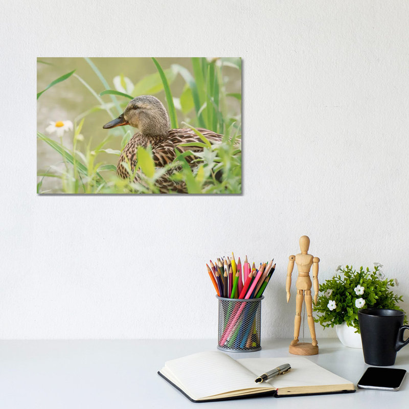 Daisy Duck by Louis Ruth - Wrapped Canvas Print, 20.32 cm H x 30.48 cm W