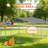 Spacious Full-Coverage Outdoor Dog Run