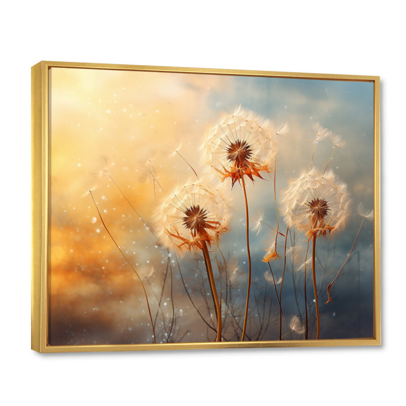 Orange Dandelion Dreams II - Floral Wall Art Prints, H 30 po x l 40 po x P 1,5 po, Cadre flottant doré