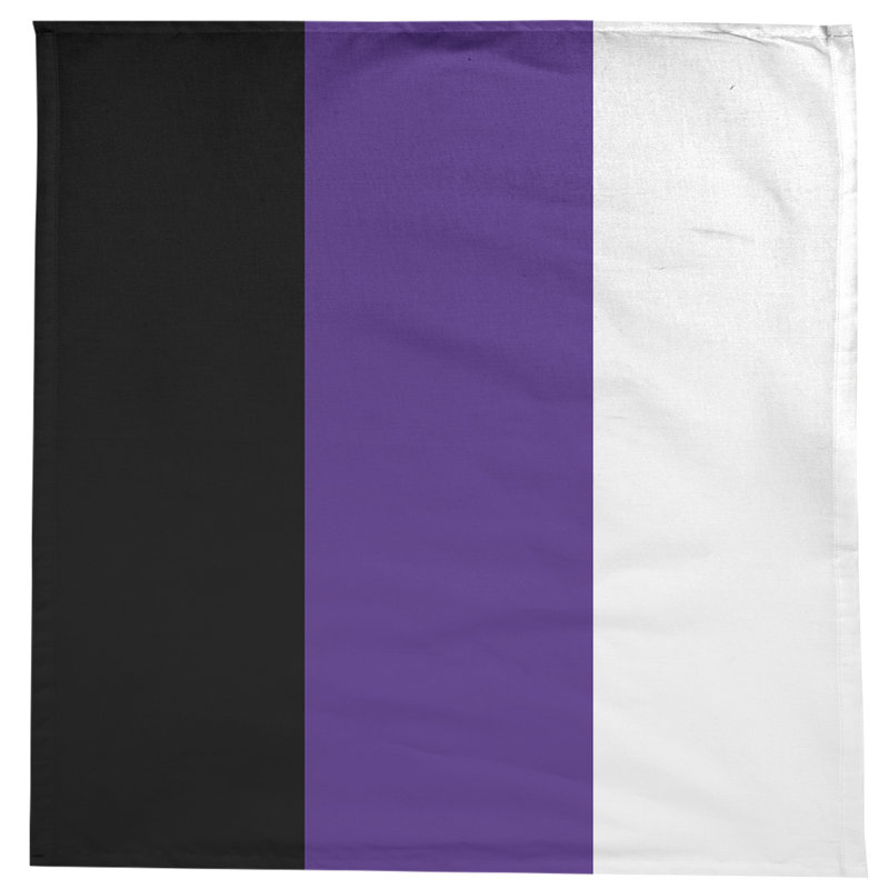Nappe Clemson, Evanston Cat Black/Purple/White