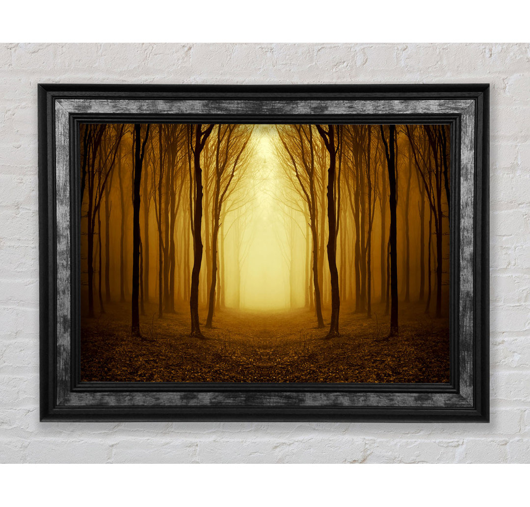 Through The Golden Path - Einzelne Bilderrahmen Kunstdrucke