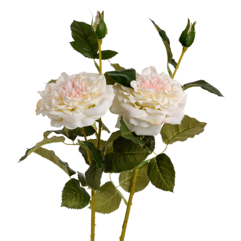 Arrangement