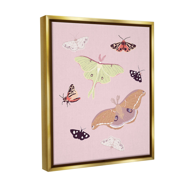 "Varied Moth" sur toile, Cadre flottant métallique doré, H 21 po x l 17 po
