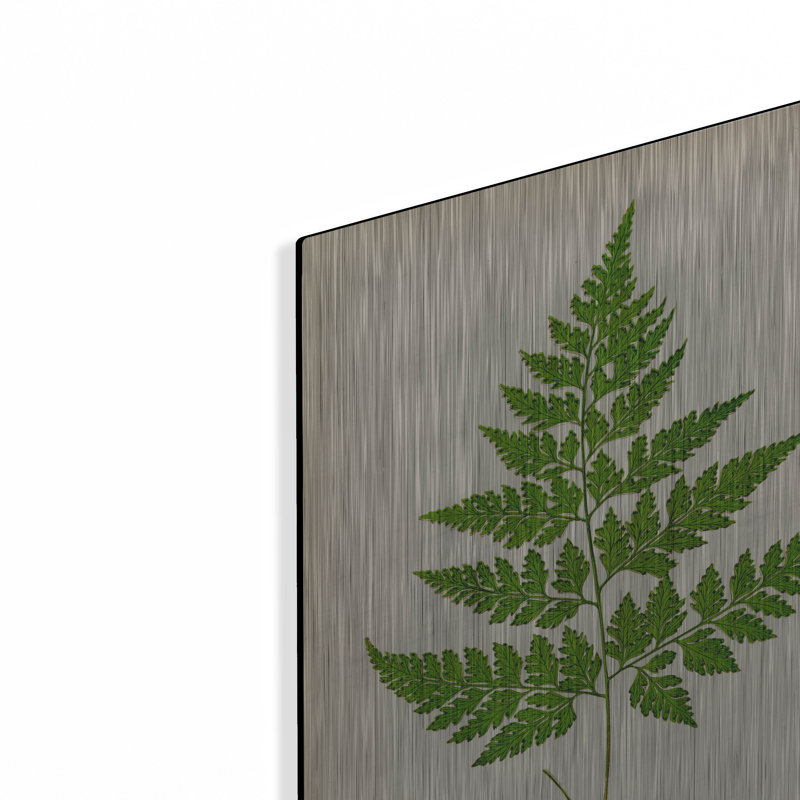 Art mural luxueux «Davallia Pyxidata» par Art Licensing Studio, 12 po x 16 po
