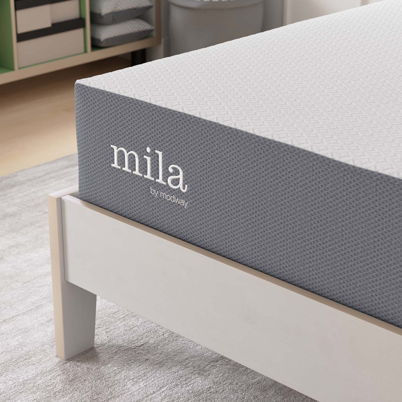Modway Mila 10" Mattress, Twin