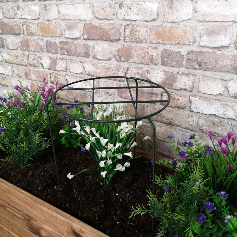 Caziyah Metal Plant Support, 50cm H x 30cm W x 30cm D