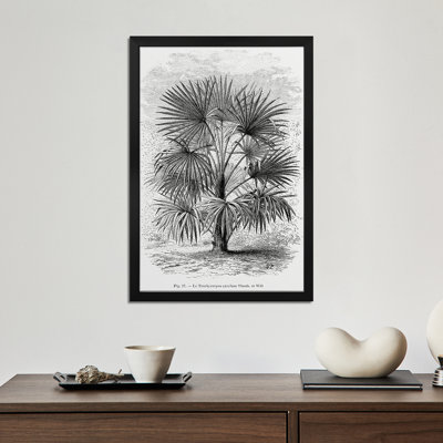 «Vintage Palm Tree Dessin» - reproduction d'art murale - affiche de galerie