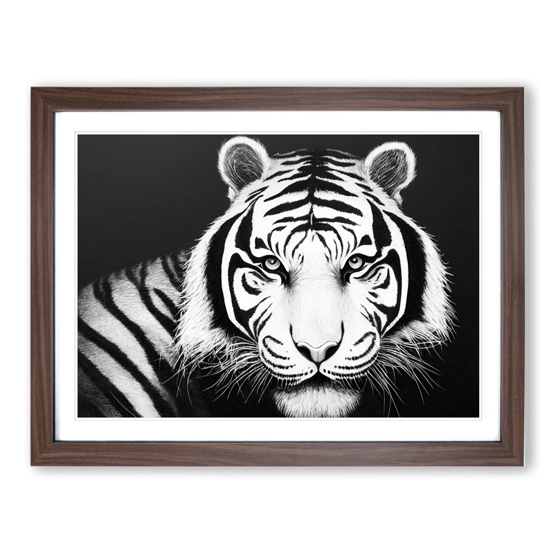 Monochrome Tiger Vol.3 - Framed Print, 46cm H x 64cm W x 2cm D, Brown Framed