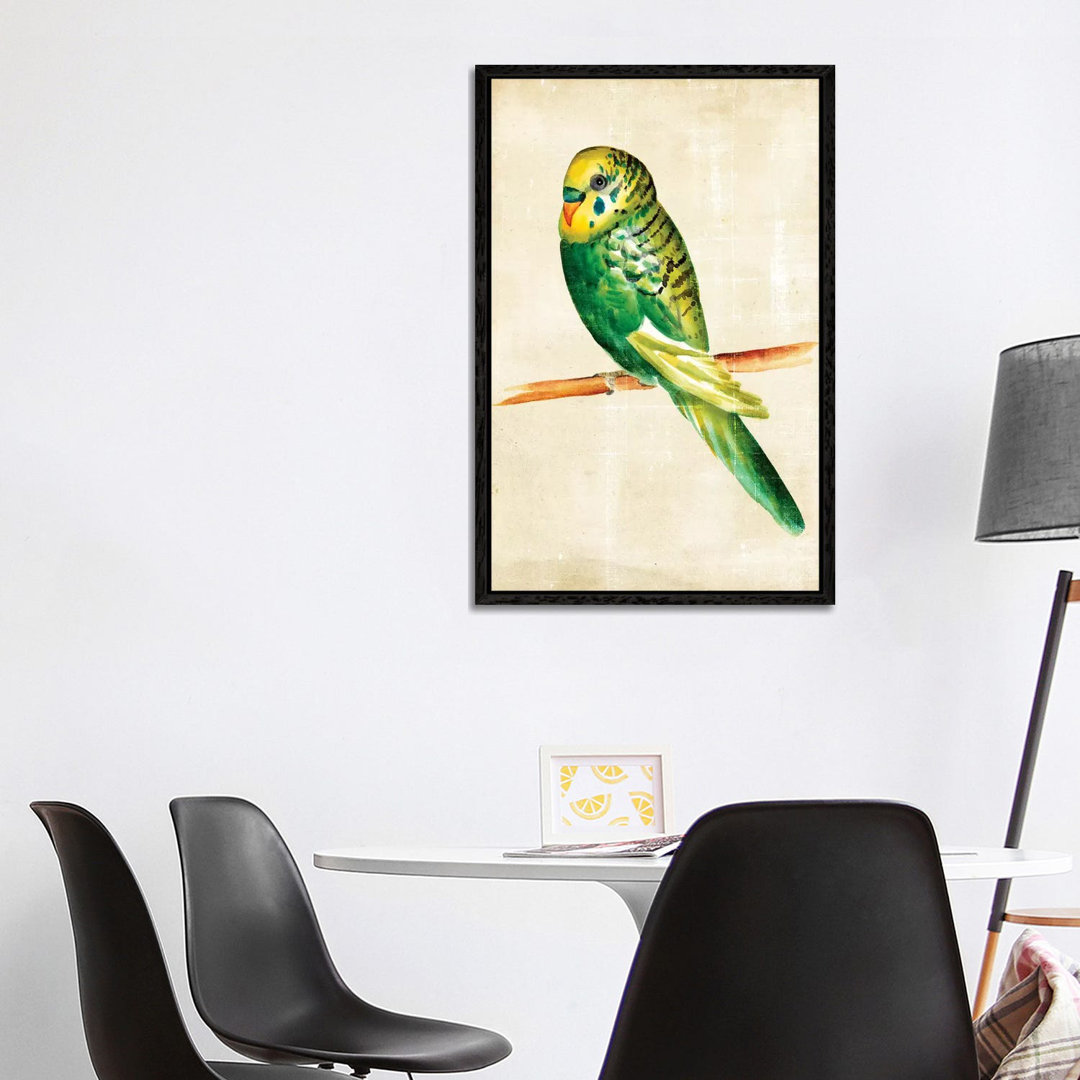 Fanciful Birds III von Chariklia Zarris - Galerie-umwickelte Leinwand Giclée