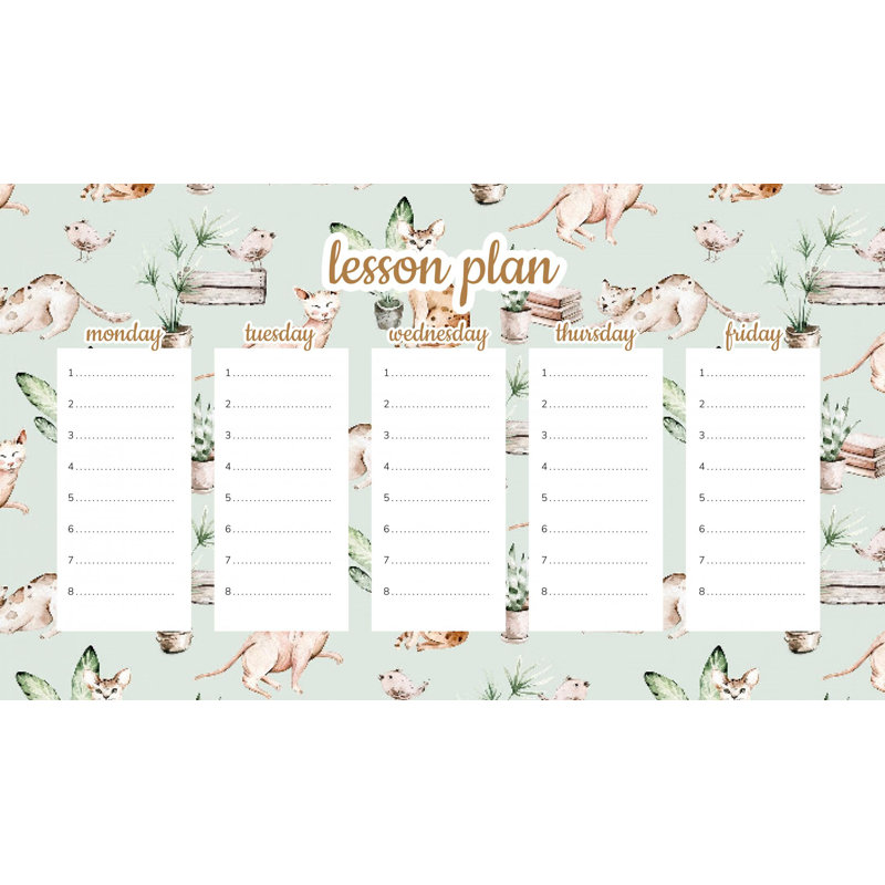 Magnetic Lesson Plan Life of Kittens