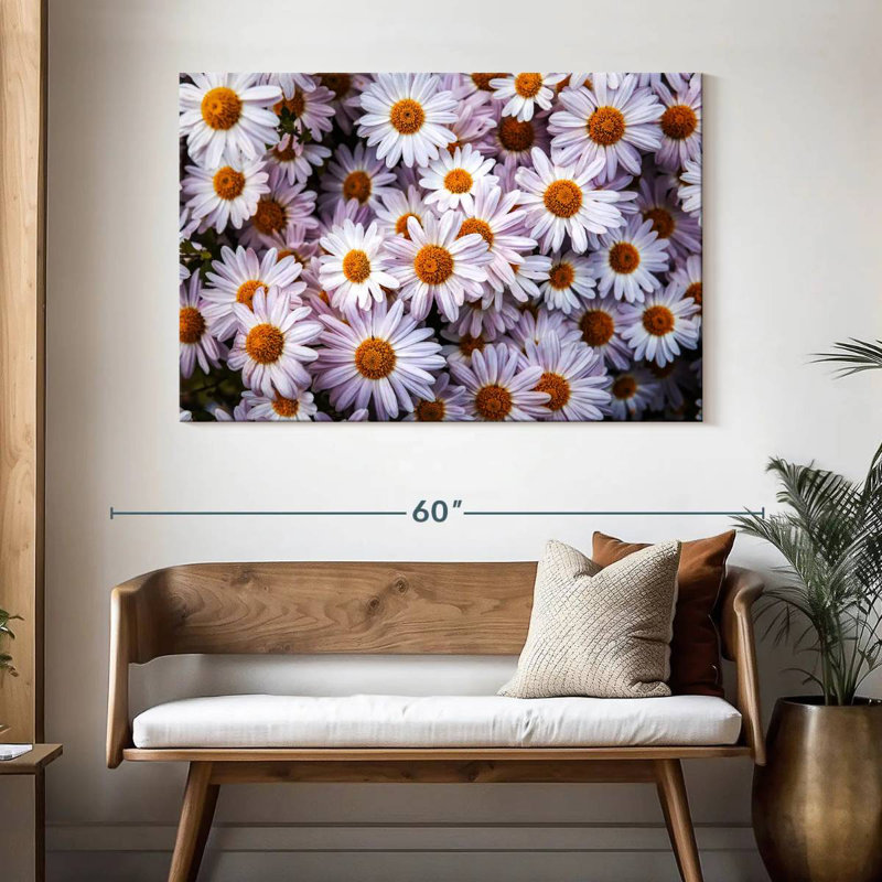 Harnek Shasta Daisies, 32" H x 48" W